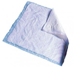 Wellton Healthcare Disposable Baby Sheet 60X90 CM (Pack of 100 pcs)