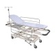 Wellton Healthcare Emergency and Recovery Trolley Hydraulic WH 1391