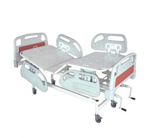 Wellton Healthcare Fowler Type Hospital Bed with Abs Panels WH-505