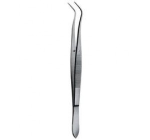 Wellton Healthcare Dental Tweezer 