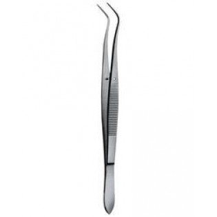 Wellton Healthcare Dental Tweezer  Wellton Healthcare Dental Tweezer