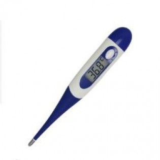 Oval Clinical Thermometer Oval Clinical Thermometer