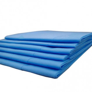 Wellton Healthcare Disposable Non Woven Bed Sheets 48x80 inch Blue  WH-7007 pack of 50 pcs  Wellton Healthcare Disposable Non Woven Bed Sheets 48x80 inch Blue  WH-7007 pack of 50 pcs