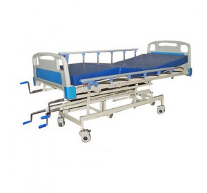 Wellton Healthcare Abs Panel  ICU Bed WH-504