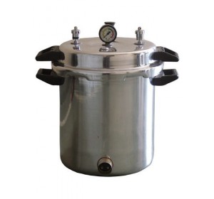 Wellton Healthcare Autoclave Cooker Type 12*22