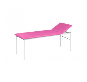 Wellton Healthcare Two Section Examination Table WH-544