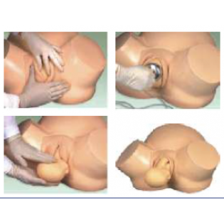 Wellton Healthcare Vacuum Delivery Model Medical Models Wellton Healthcare Vacuum Delivery Model Medical Models