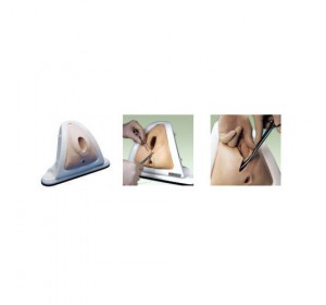 Wellton Healthcare Episiotomy Training Simulator Medical Models