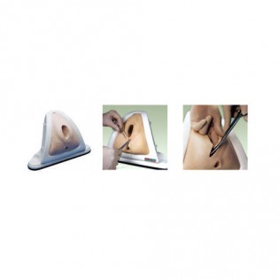 Wellton Healthcare Episiotomy Training Simulator Medical Models
