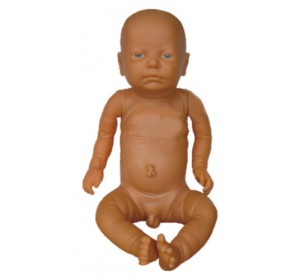 Wellton Healthcare A New Style Newborn Baby Medical Models