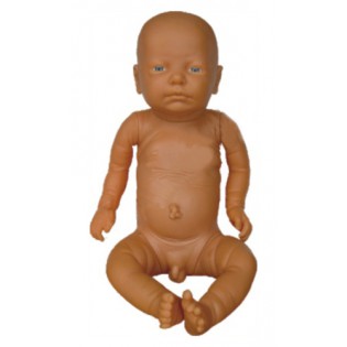 Wellton Healthcare A New Style Newborn Baby Medical Models Wellton Healthcare A New Style Newborn Baby Medical Models