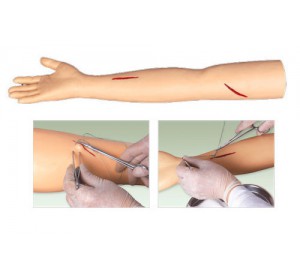 Wellton Healthcare Advanced Surgical Suture Arm Medical Models