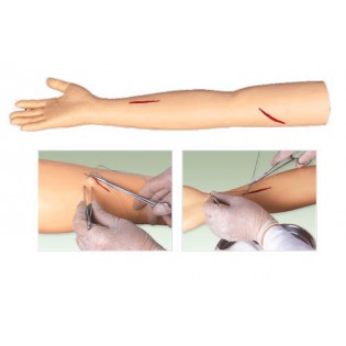 Wellton Healthcare Advanced Surgical Suture Arm Medical Models