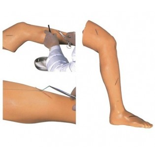 Wellton Healthcare Advanced Surgical Suture Leg Medical Models