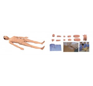 Wellton Healthcare Basic Combination Nursing Manikin Medical Models