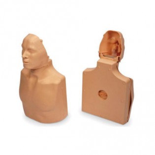 Wellton Healthcare CPR Training Manikin (Torso) Medical Models