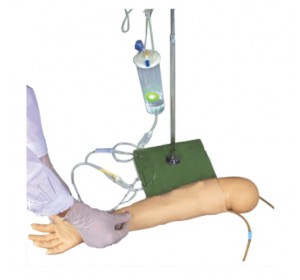 Wellton Healthcare Child IV Training Arm Medical Models