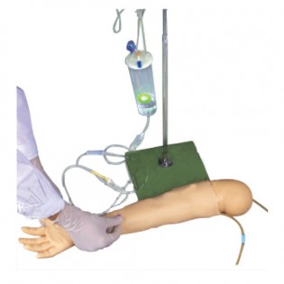 Wellton Healthcare Child IV Training Arm Medical Models