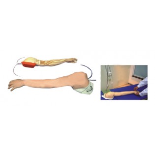 Wellton Healthcare Full-functional Vein Injection Arm Medical Models