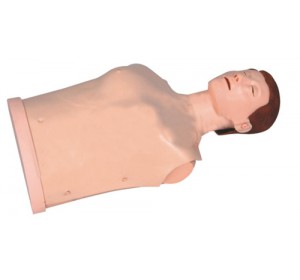 Wellton Healthcare Half-body CPR Training Manikin Medical Models 