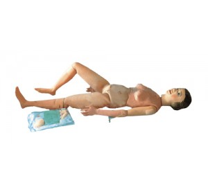 Wellton Healthcare Multi-Functional Nursing Manikin Medical Models