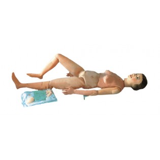 Wellton Healthcare Multi-Functional Nursing Manikin Medical Models Wellton Healthcare Multi-Functional Nursing Manikin Medical Models