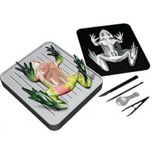 Wellton Healthcare Simulated Frog Dissecting kit Medical Models