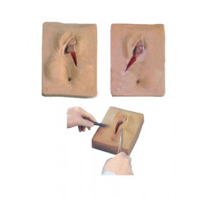 Wellton Healthcare Vulva Suturing Training Simulator Medical Models