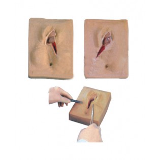 Wellton Healthcare Vulva Suturing Training Simulator Medical Models Wellton Healthcare Vulva Suturing Training Simulator Medical Models