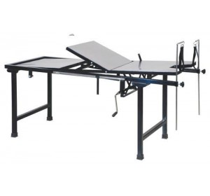 Wellton Healthcare Gynae Examination Table WH1136