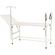 Wellton Healthcare Gynae Examination Table WH1145