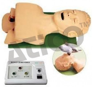 Wellton Healthcare Airway Intubation Medical Models