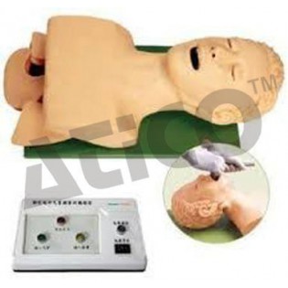 Wellton Healthcare Airway Intubation Medical Models