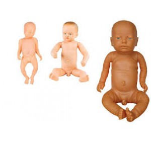 Wellton Healthcare Newborn Baby Medical Models