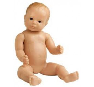 Wellton Healthcare New Born Baby Medical Models