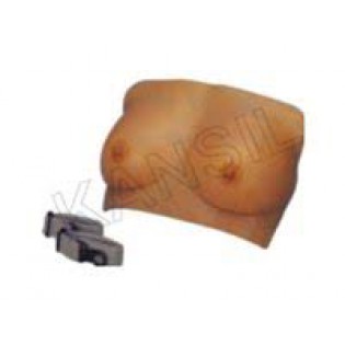 Wellton Healthcare Breast Examination Medical Models