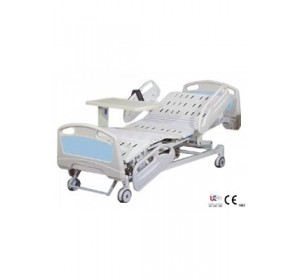 Wellton Healthcare Five Functions Medical Care Bed IB-3101