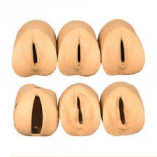 Wellton Healthcare Labour Delivery Simulator Medical Models