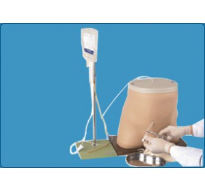 Wellton Healthcare Peritoneal Dialysis Simulator Medical Models