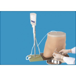 Wellton Healthcare Peritoneal Dialysis Simulator Medical Models Wellton Healthcare Peritoneal Dialysis Simulator Medical Models