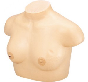 Wellton Healthcare Breast Inspection Medical Models