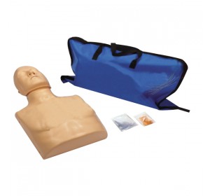 Wellton Healthcare CPR Training Manikin (Torso) Medical Model