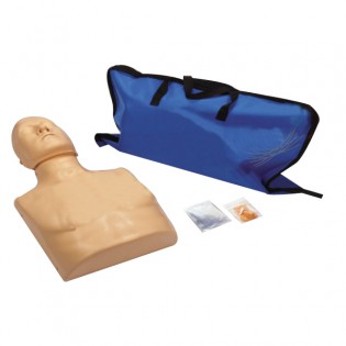 Wellton Healthcare CPR Training Manikin (Torso) Medical Model Wellton Healthcare CPR Training Manikin (Torso) Medical Model